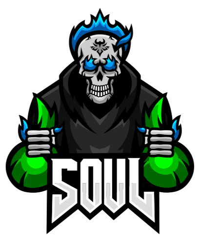 S8UL logo